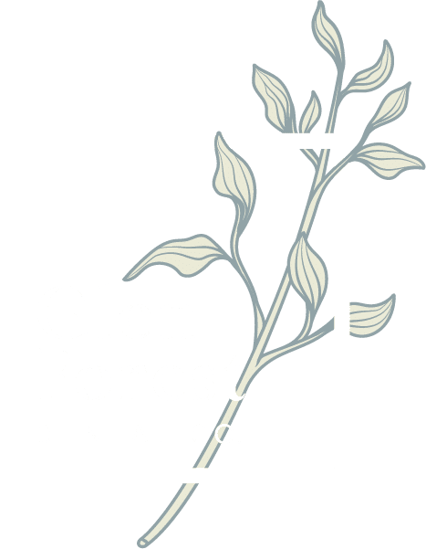 Glen Forest Dental Co